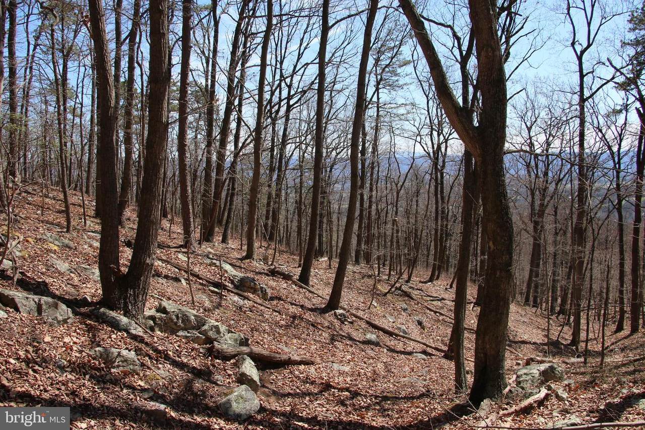 Back Road - Photo 1