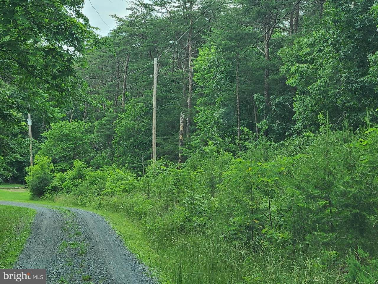 Lot 12 Whiskey Bottom - Photo 1