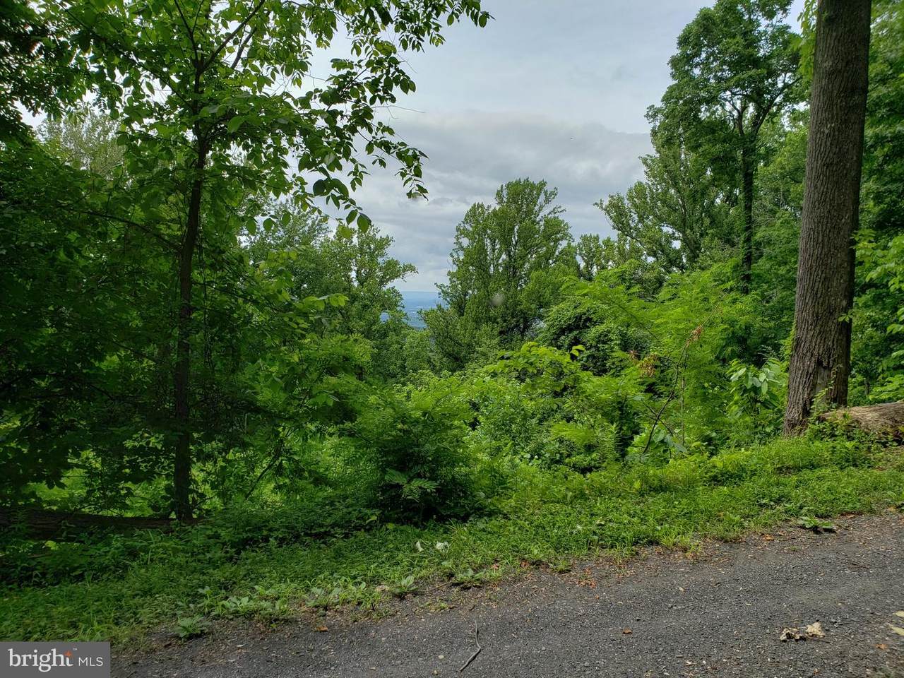 Lot 472 Pickford Court - Photo 1