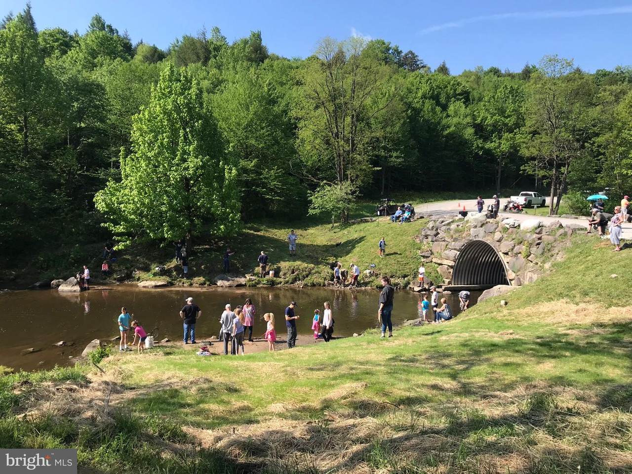 64 Stag Run - Photo 1