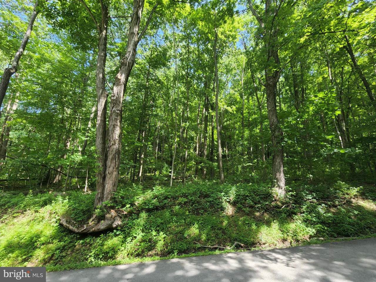Old Morgantown Road - Photo 1