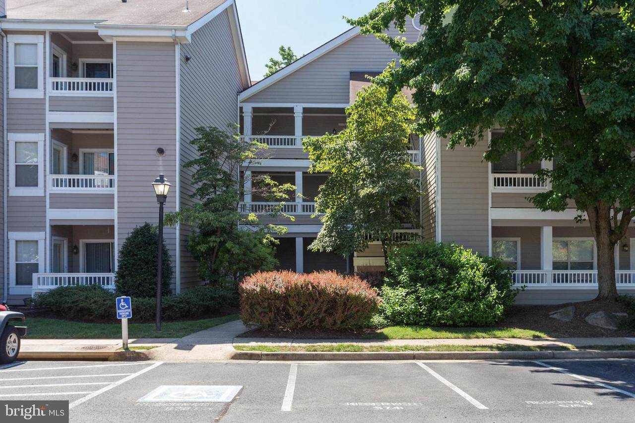 14321 Climbing Rose Way - Photo 1