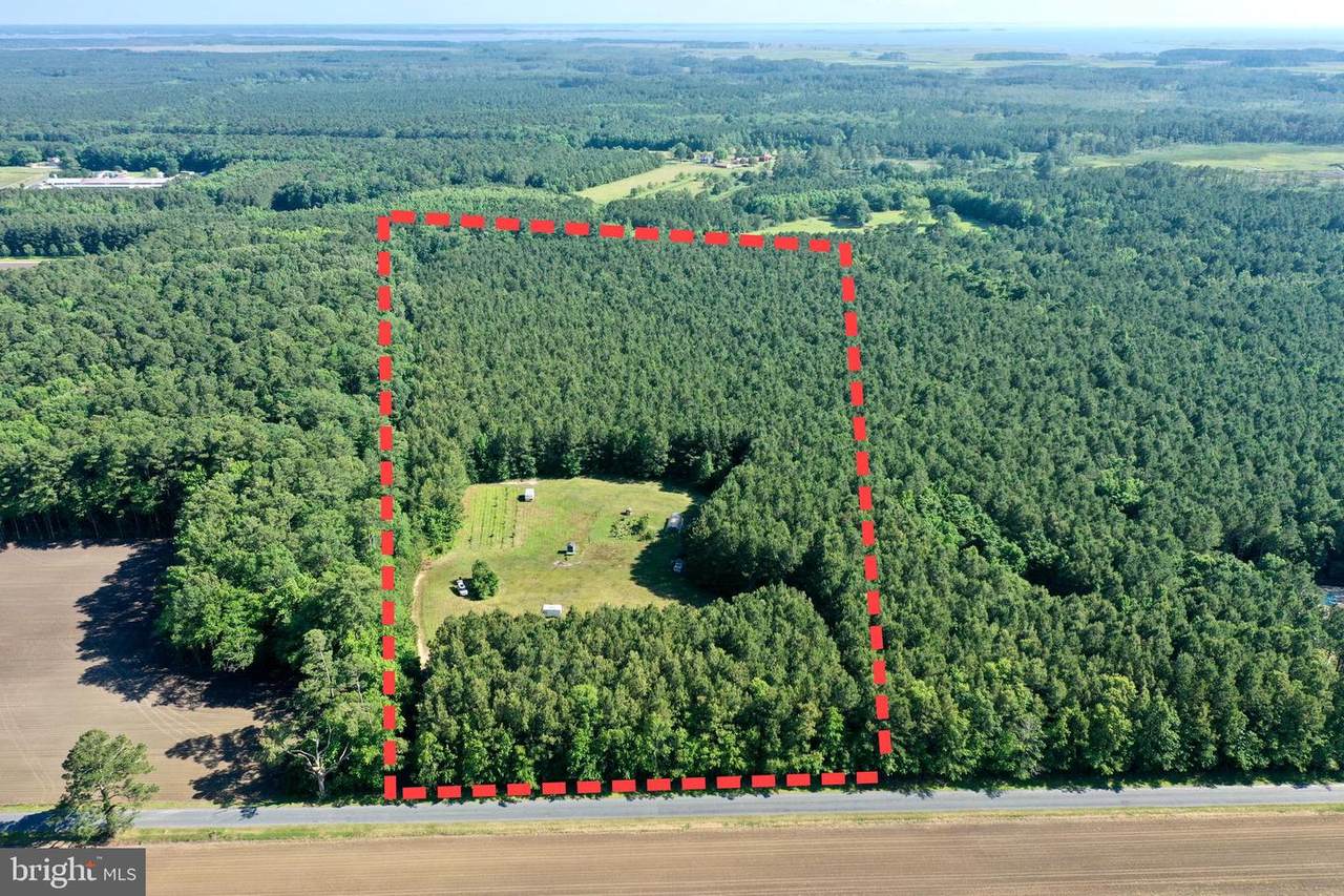 30575 Bryan Hall Road - Photo 1