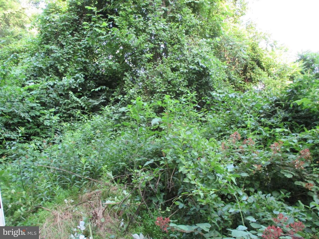 PARCEL 269 Highview Drive - Photo 1