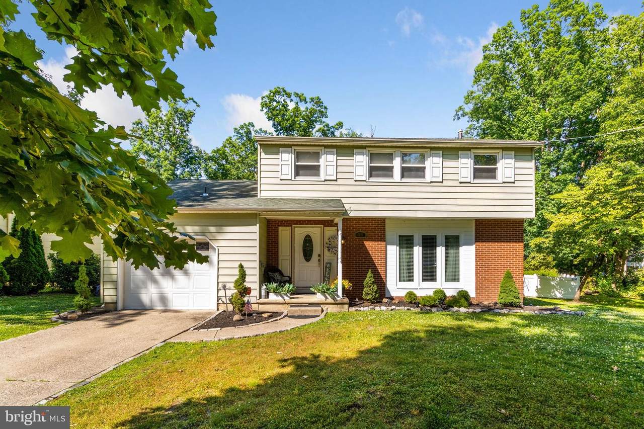 49 White Birch - Photo 1