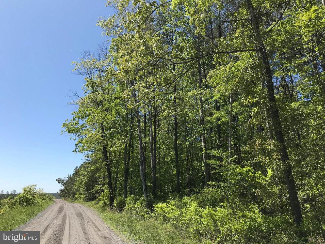 71-9A Richards Ferry - Photo 1