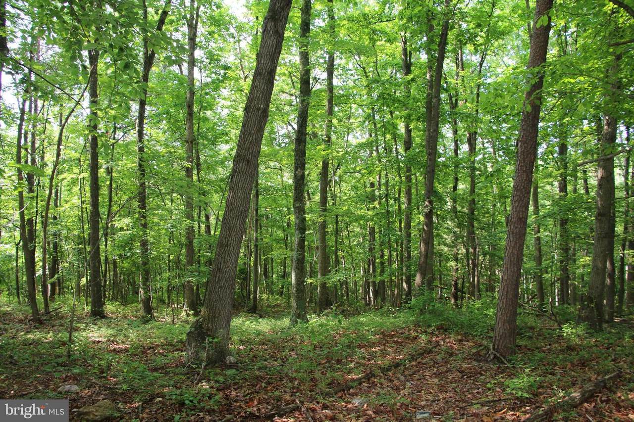 Three Mile Bank Lane - Photo 1