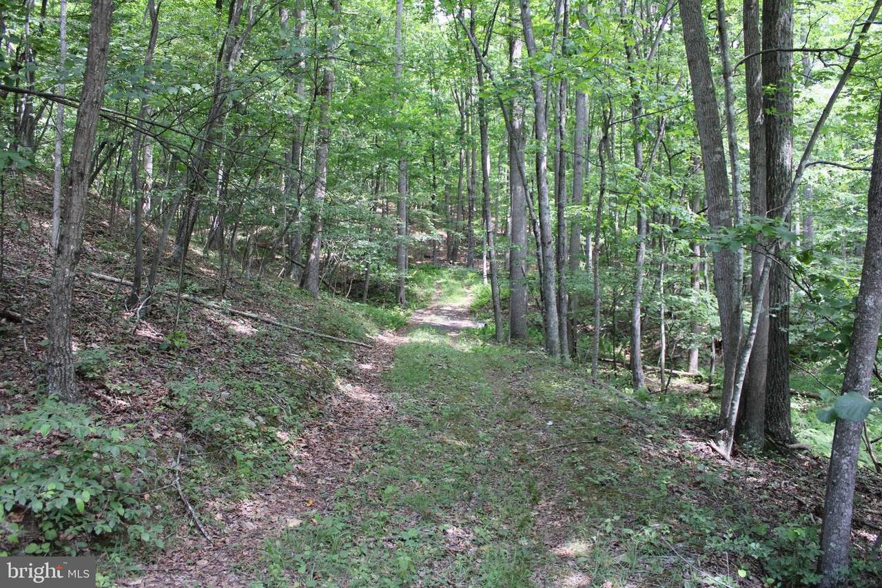 Whispering Pines Rd - Photo 1