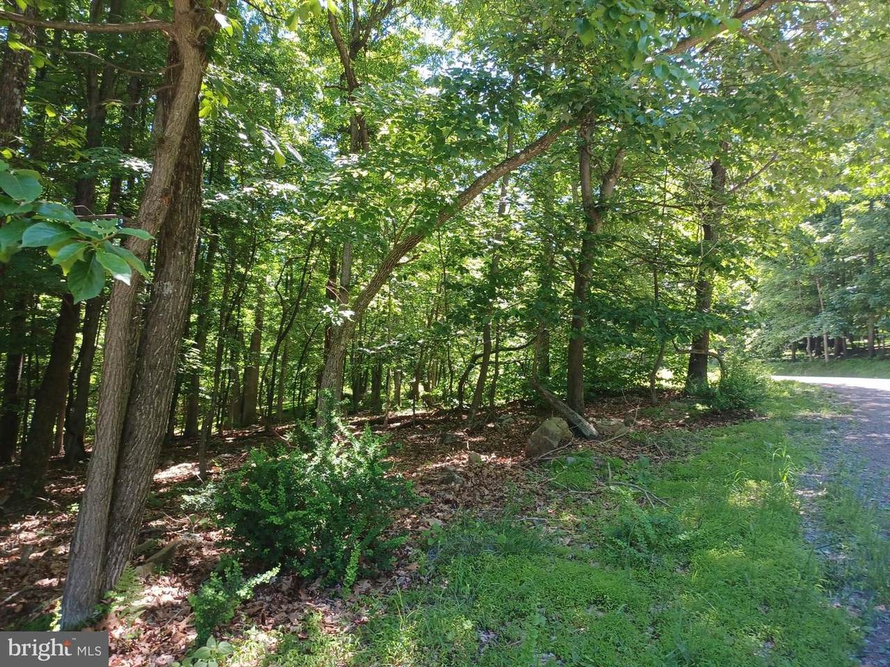 Lot 40 Wild Apple Lane - Photo 1