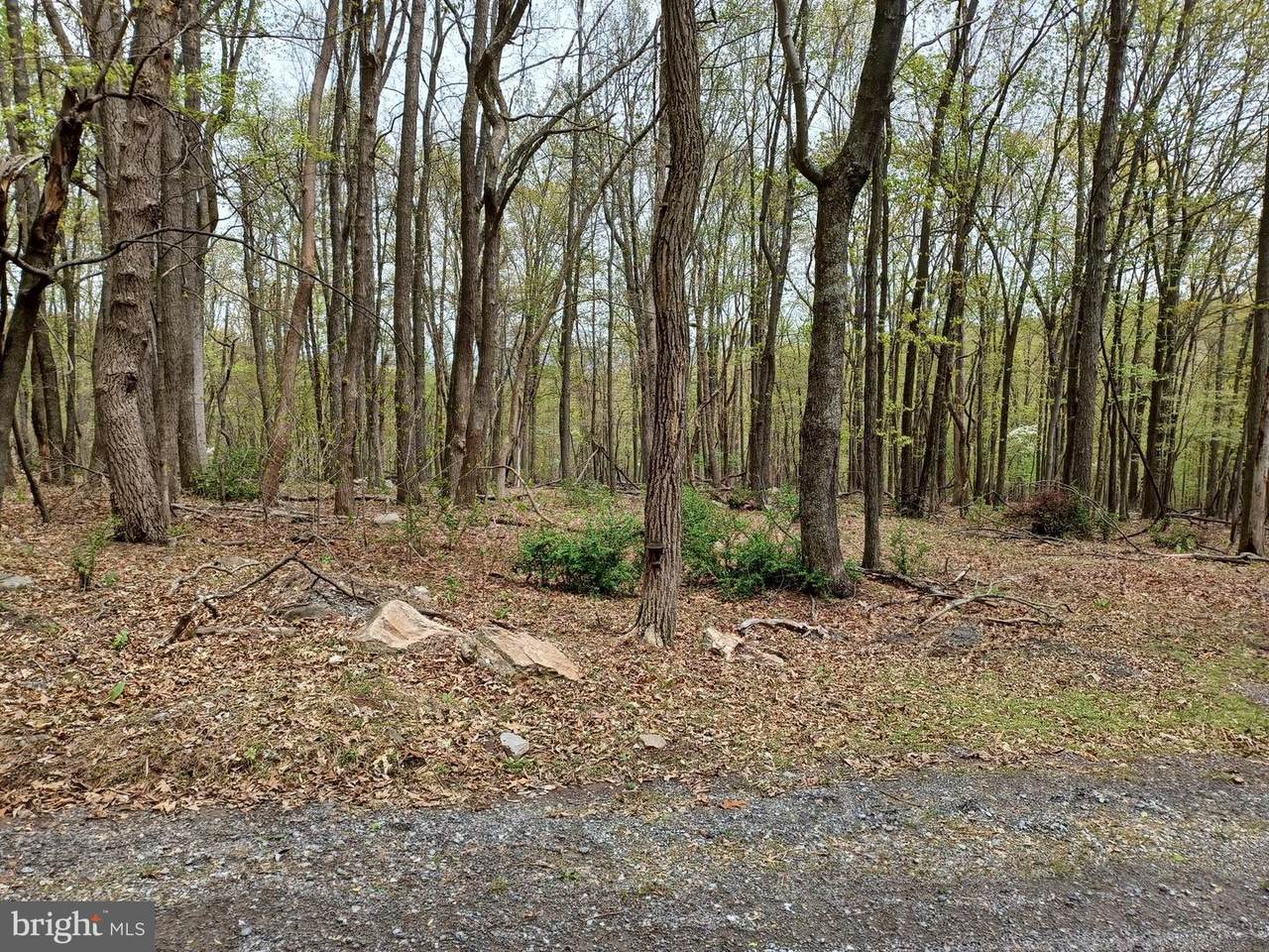 Lot 6 Wild Apple Ln - Photo 1