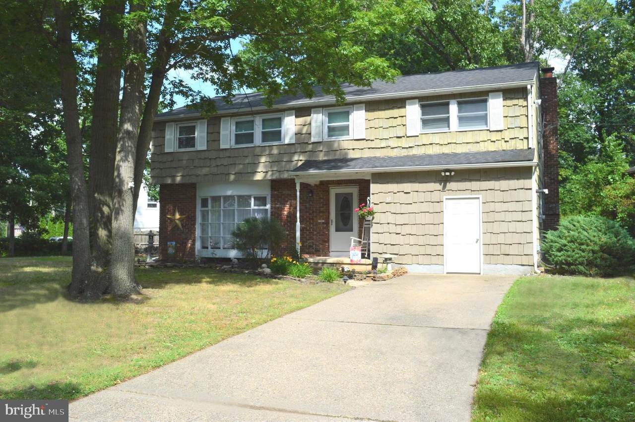 51 White Birch - Photo 1