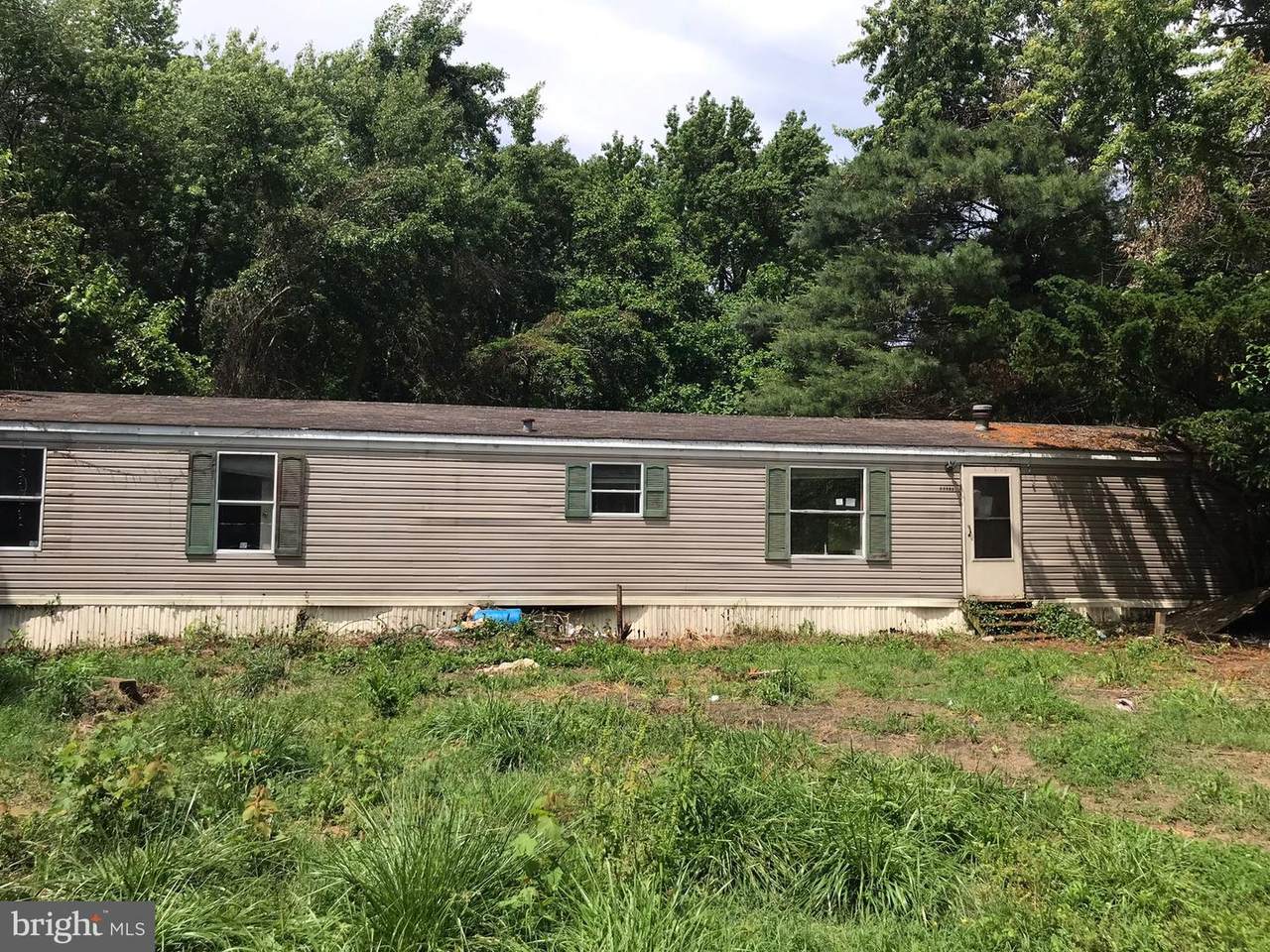 29678 Shockley Lane - Photo 1
