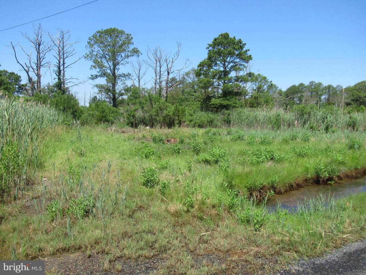 0 Calvary Road - Photo 1