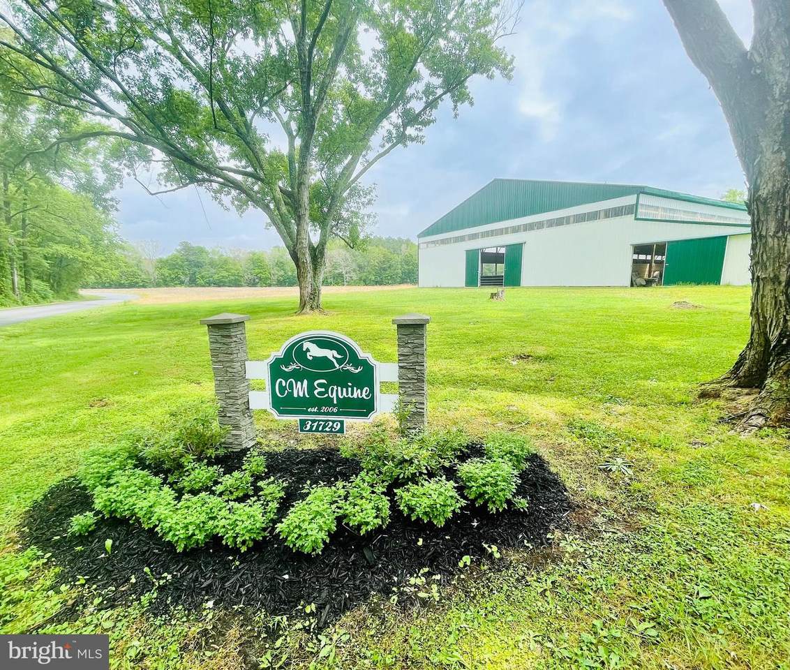 31729 Spearin Road - Photo 1