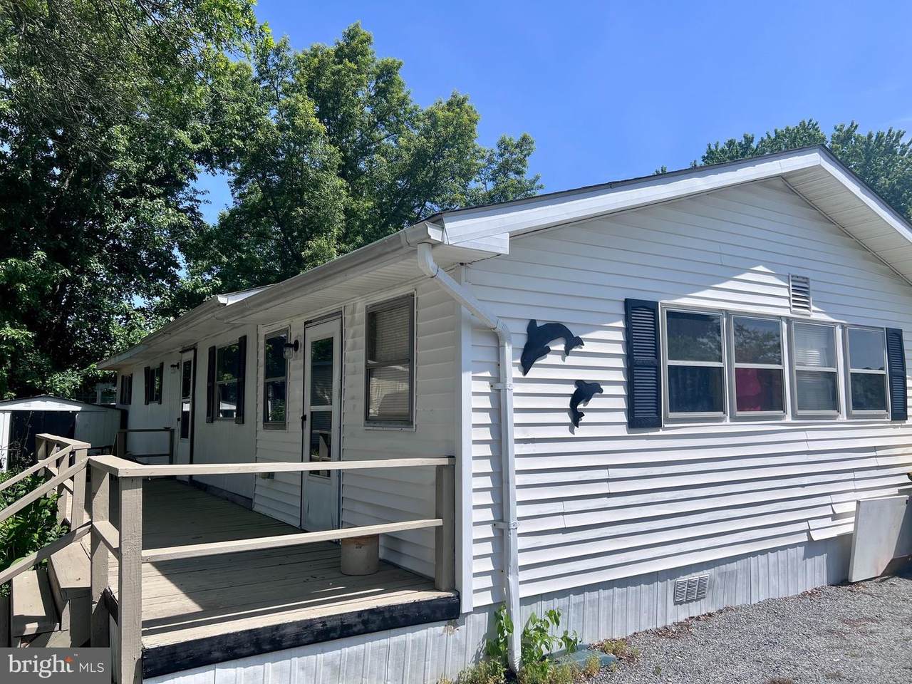 31743 Siham Road - Photo 1