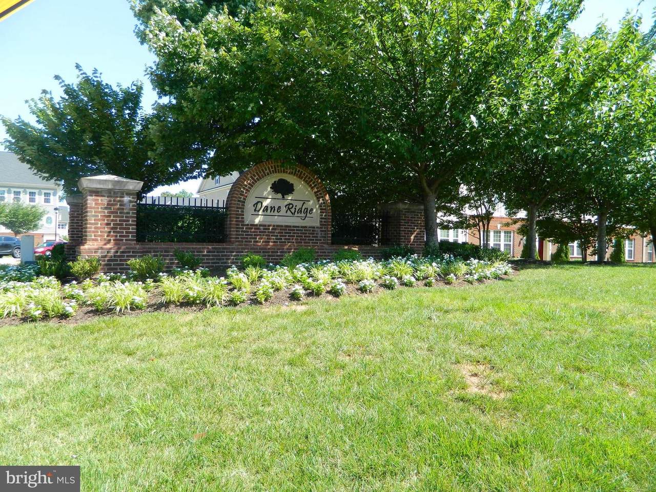 4849 Dane Ridge Circle - Photo 1