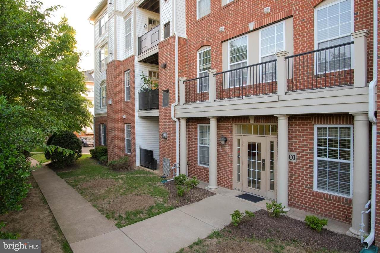 11501 Cardoness Lane - Photo 1