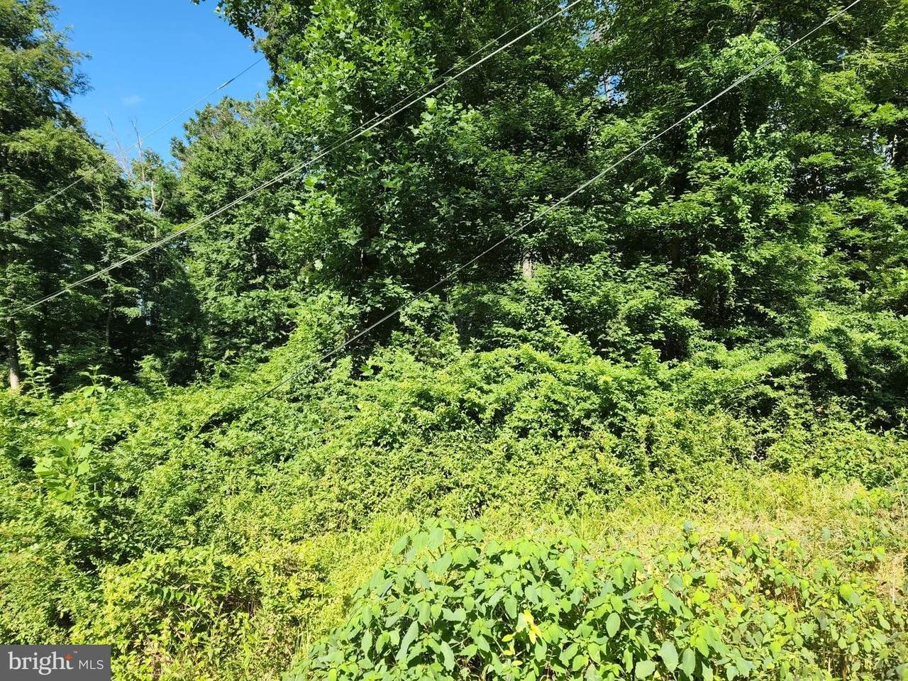 Neill Run Road - Photo 1