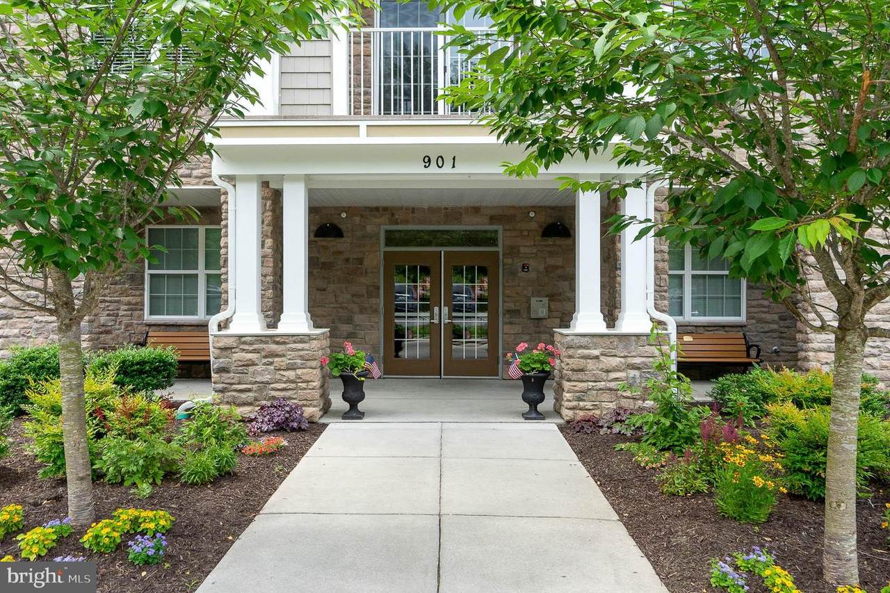 901 Macphail Woods Crossing - Photo 1