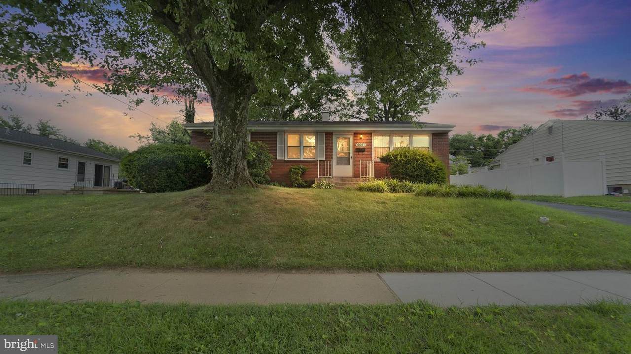 8803 Stephanie Road - Photo 1