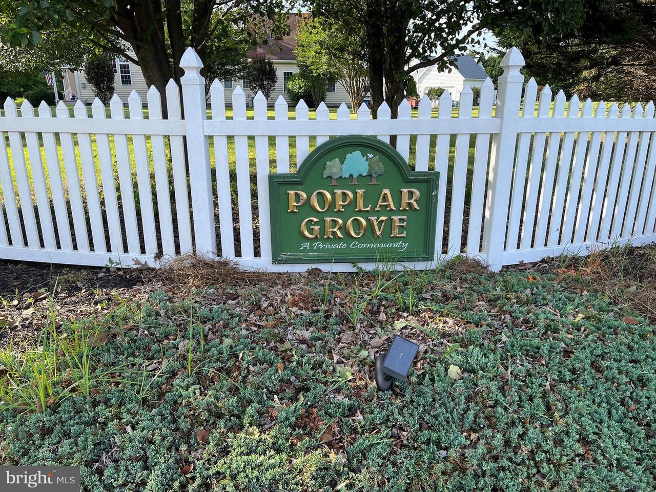 28923 Poplar Grove Drive - Photo 1