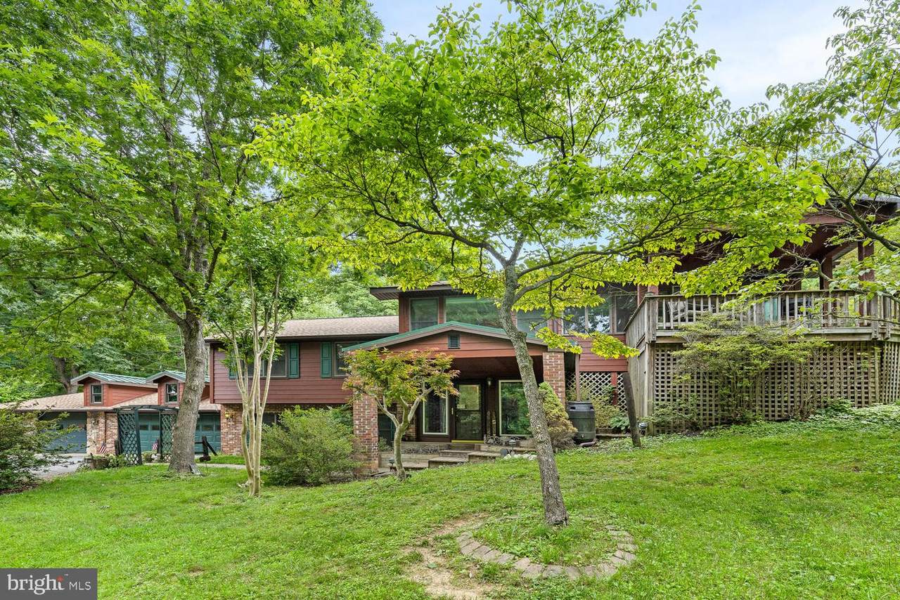 6277 Snowfox Lane - Photo 1