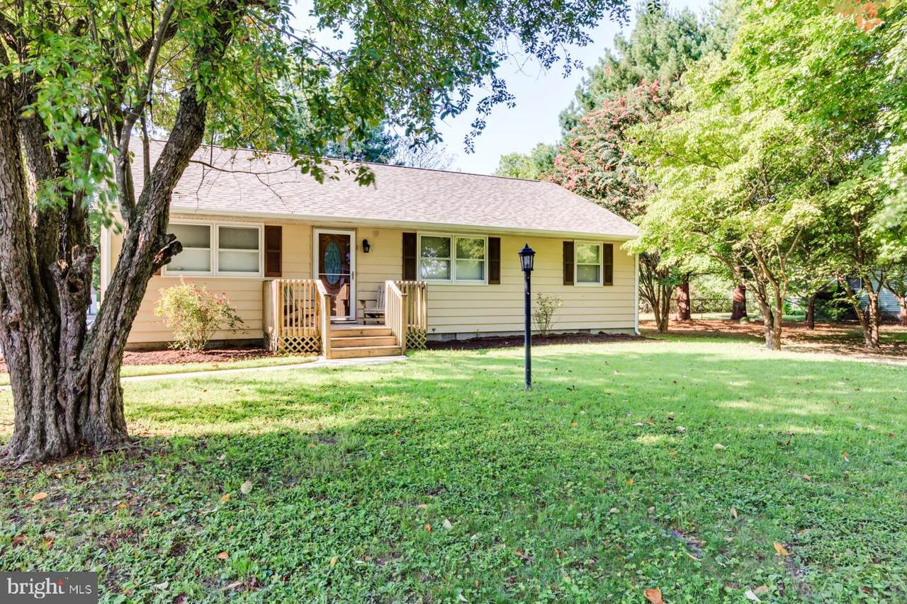 1203 Maple Street - Photo 1
