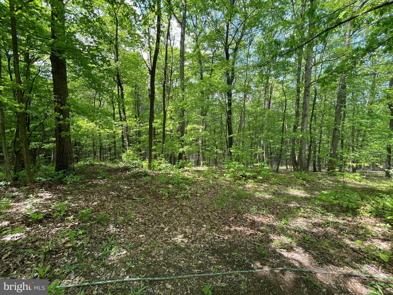 High Mountain View Road - Photo 1