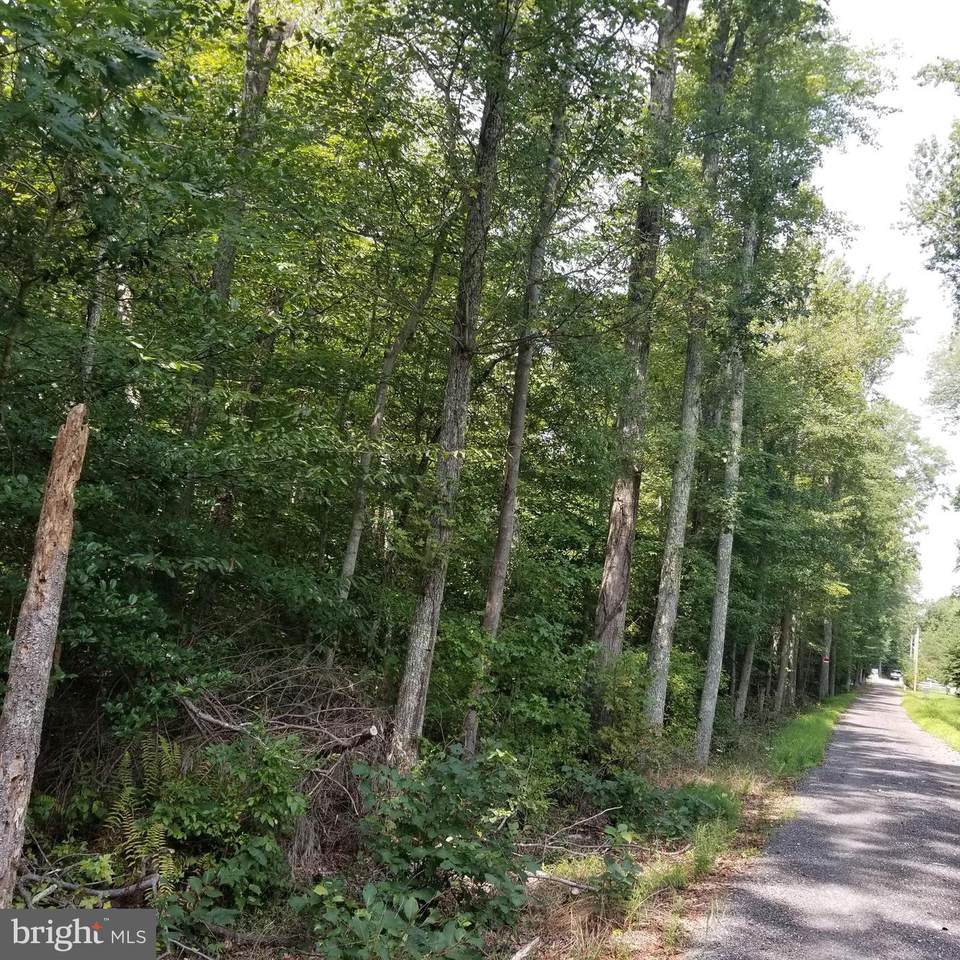 Atlee Way - Photo 1
