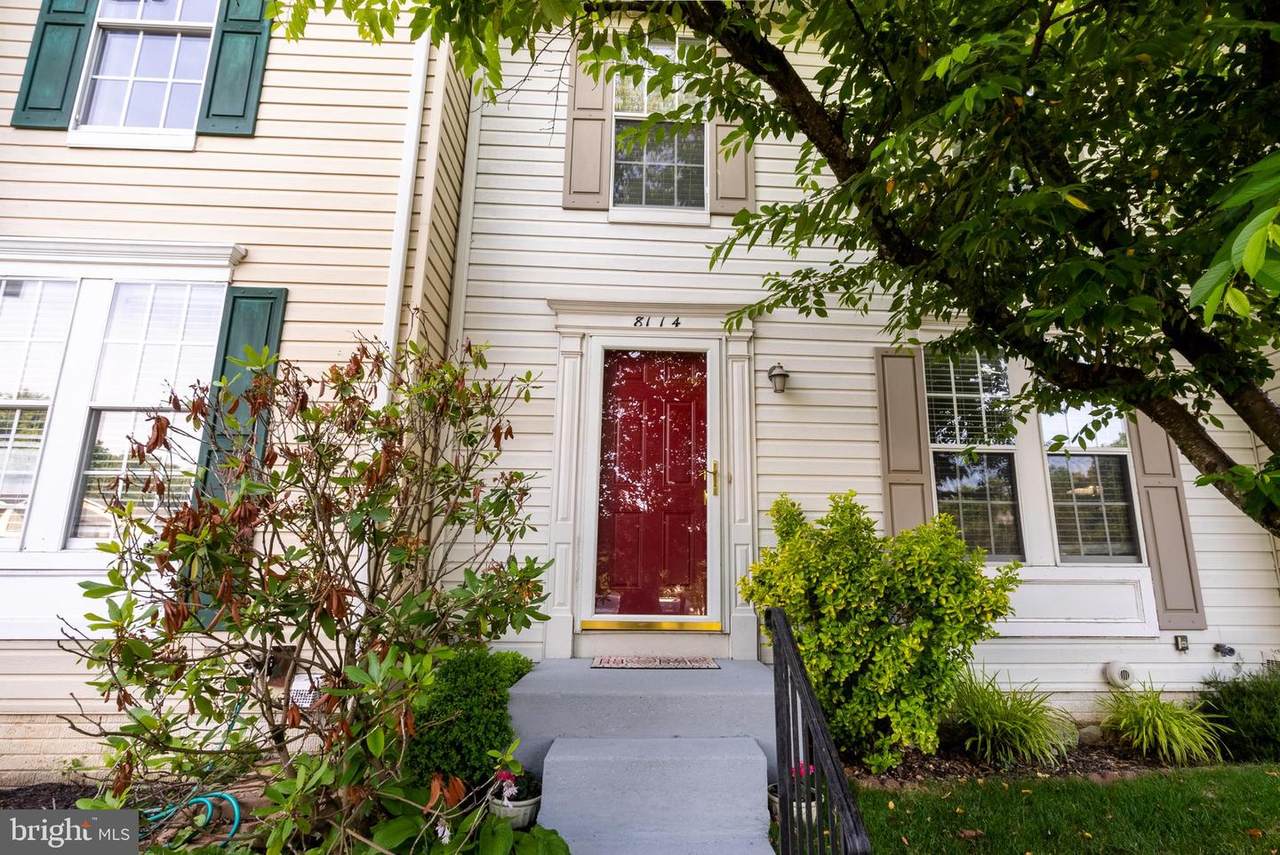 8114 Woodward Street - Photo 1