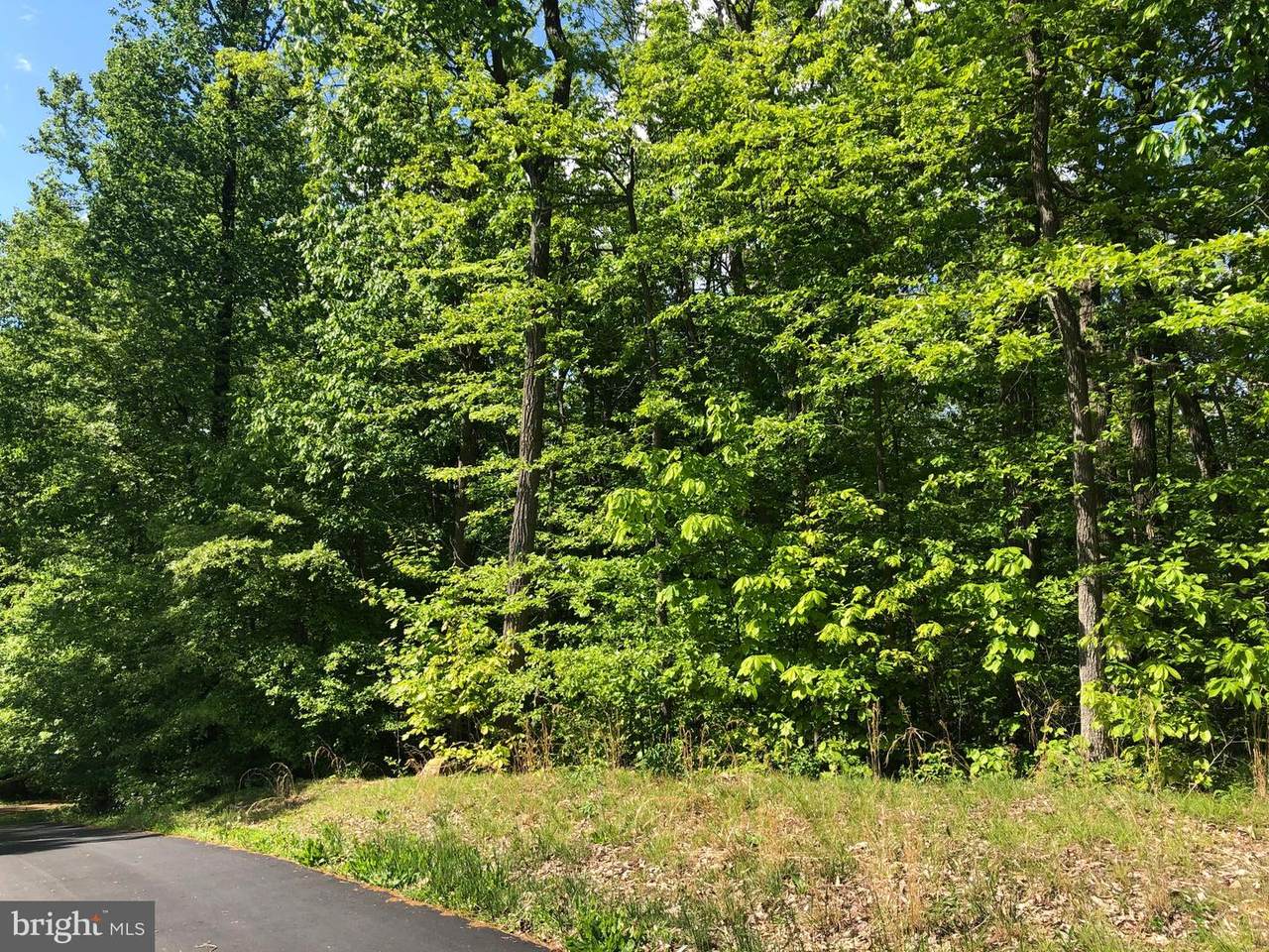 3532 Miller Road - Photo 1