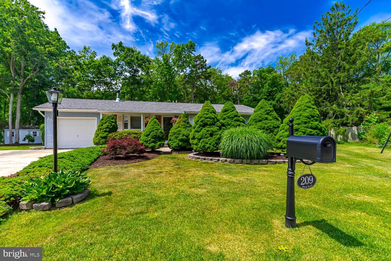 209 Birch Road - Photo 1