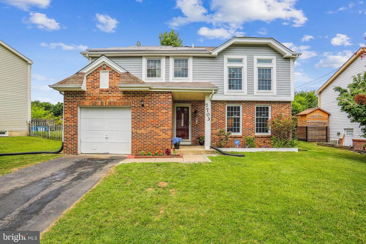 7703 Ivy Oak Drive - Photo 1