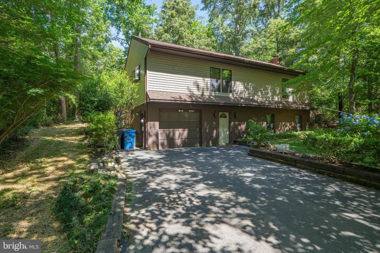 44522 White Pine Court - Photo 1