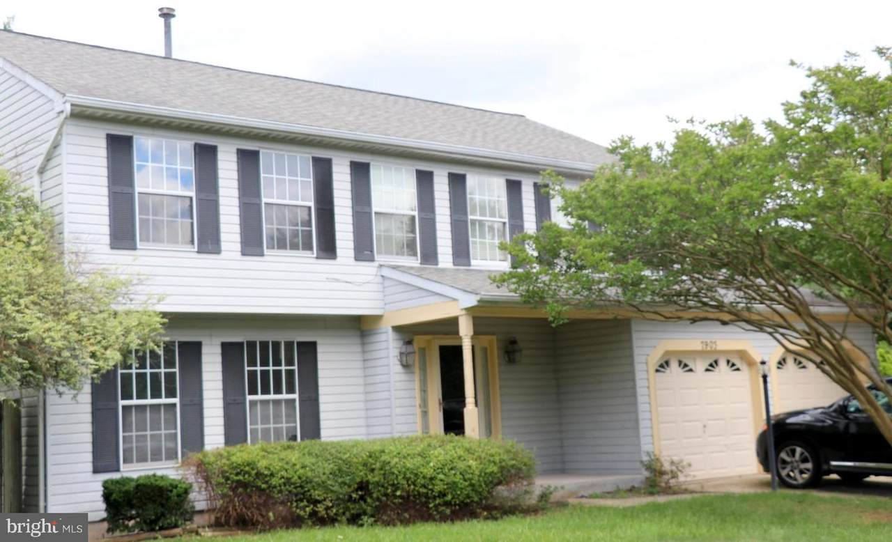 7903 Tolkin Court - Photo 1