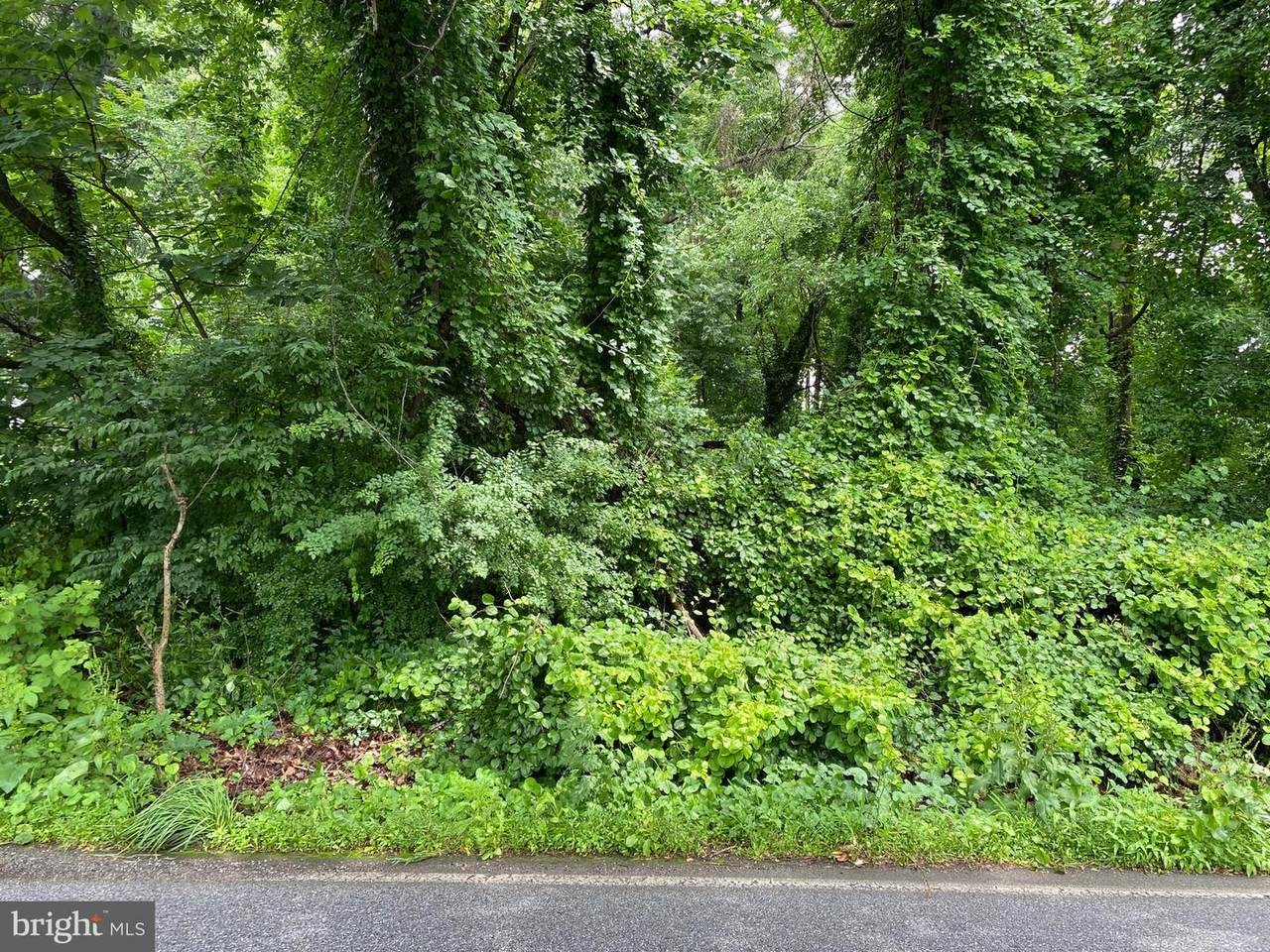 Lot #13 Chichester Avenue - Photo 1