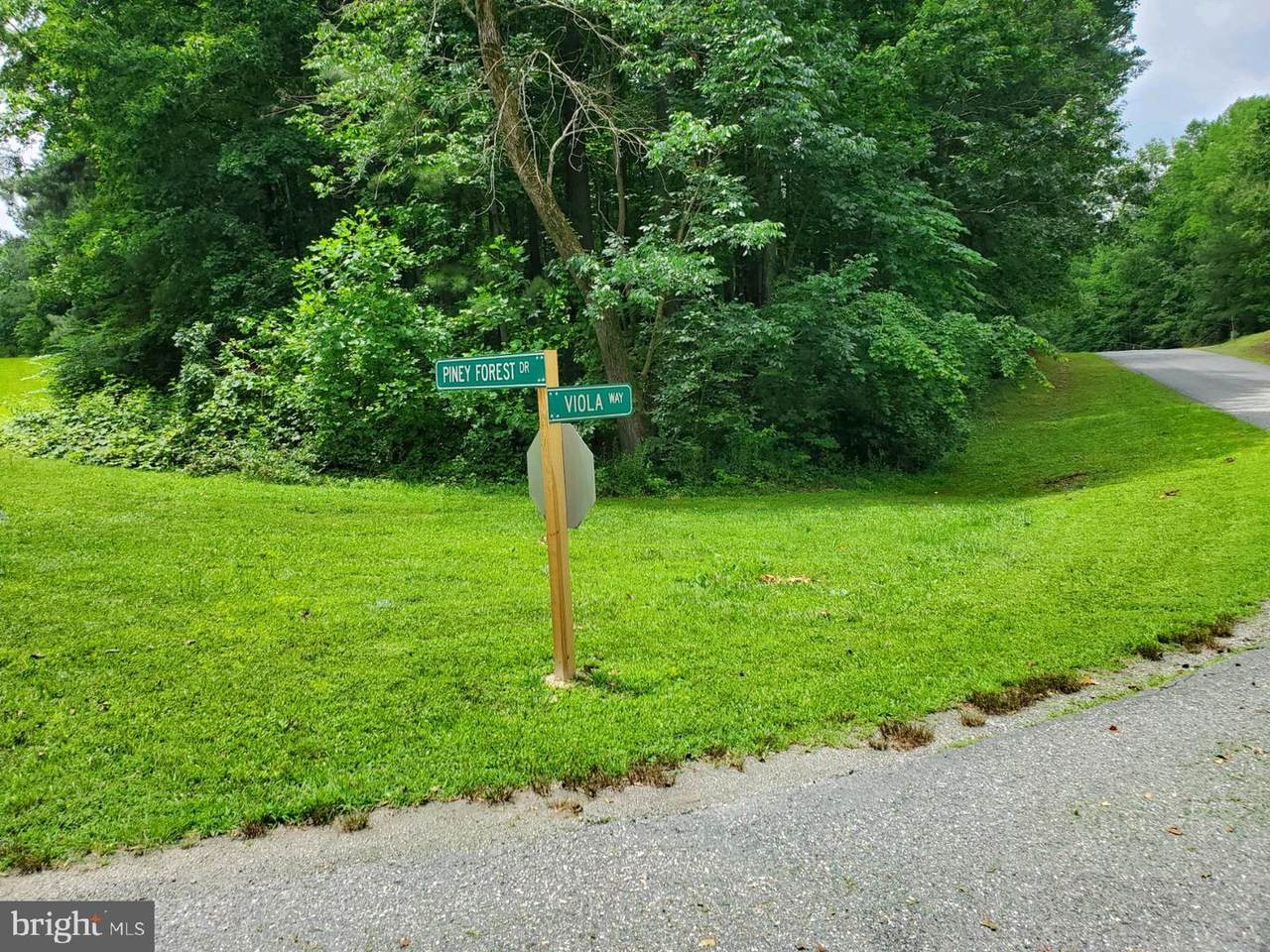 11312 Piney Forest Road - Photo 1