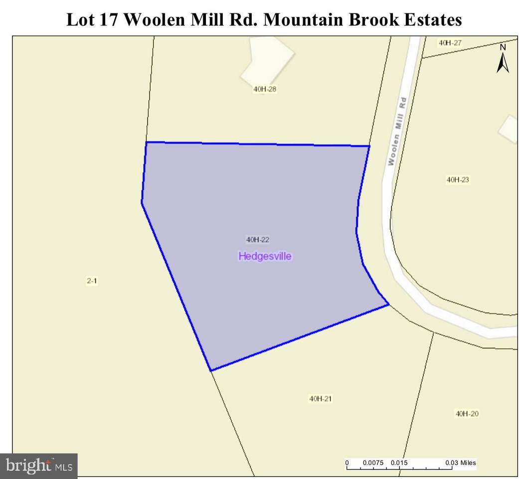 Lot 17 Woolen Mill Road - Photo 1