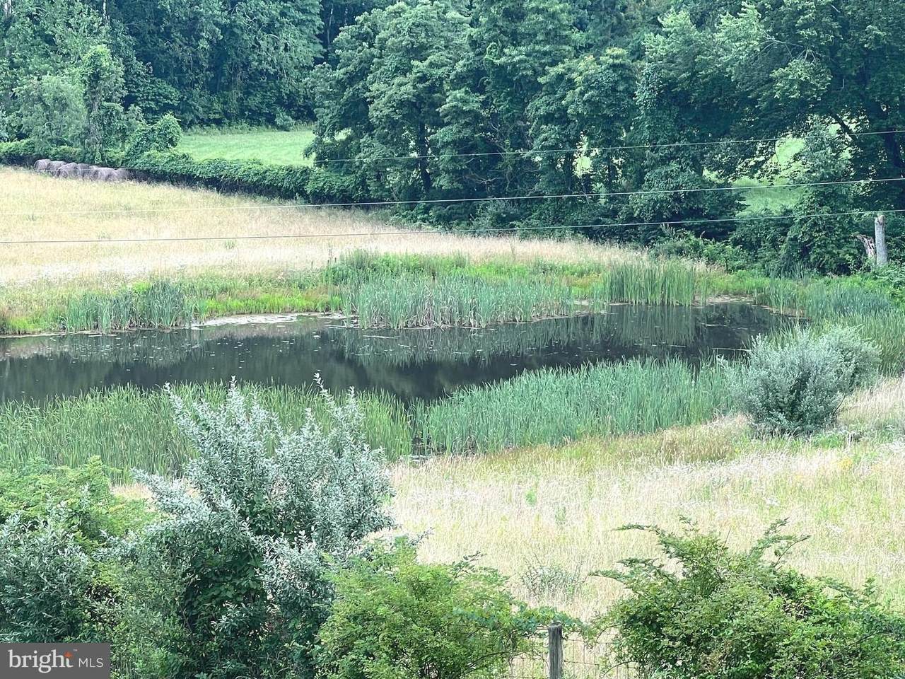 Gooney Manor Loop - Photo 1