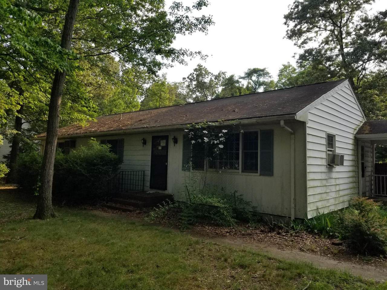 28886 Cannon Drive - Photo 1