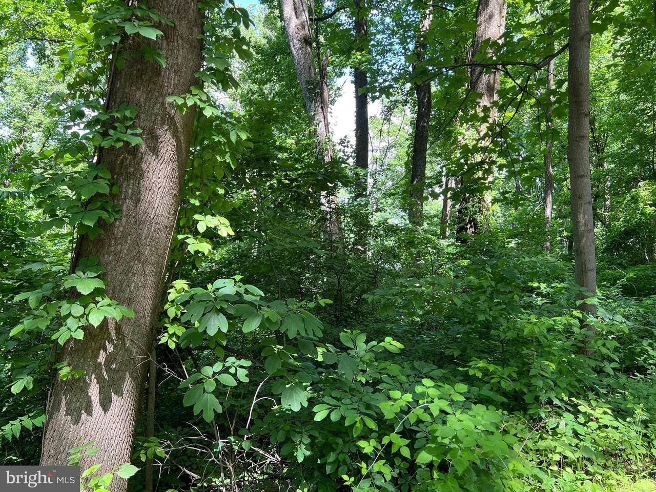 Lot 517 & Lot 518 Reid Drive - Photo 1