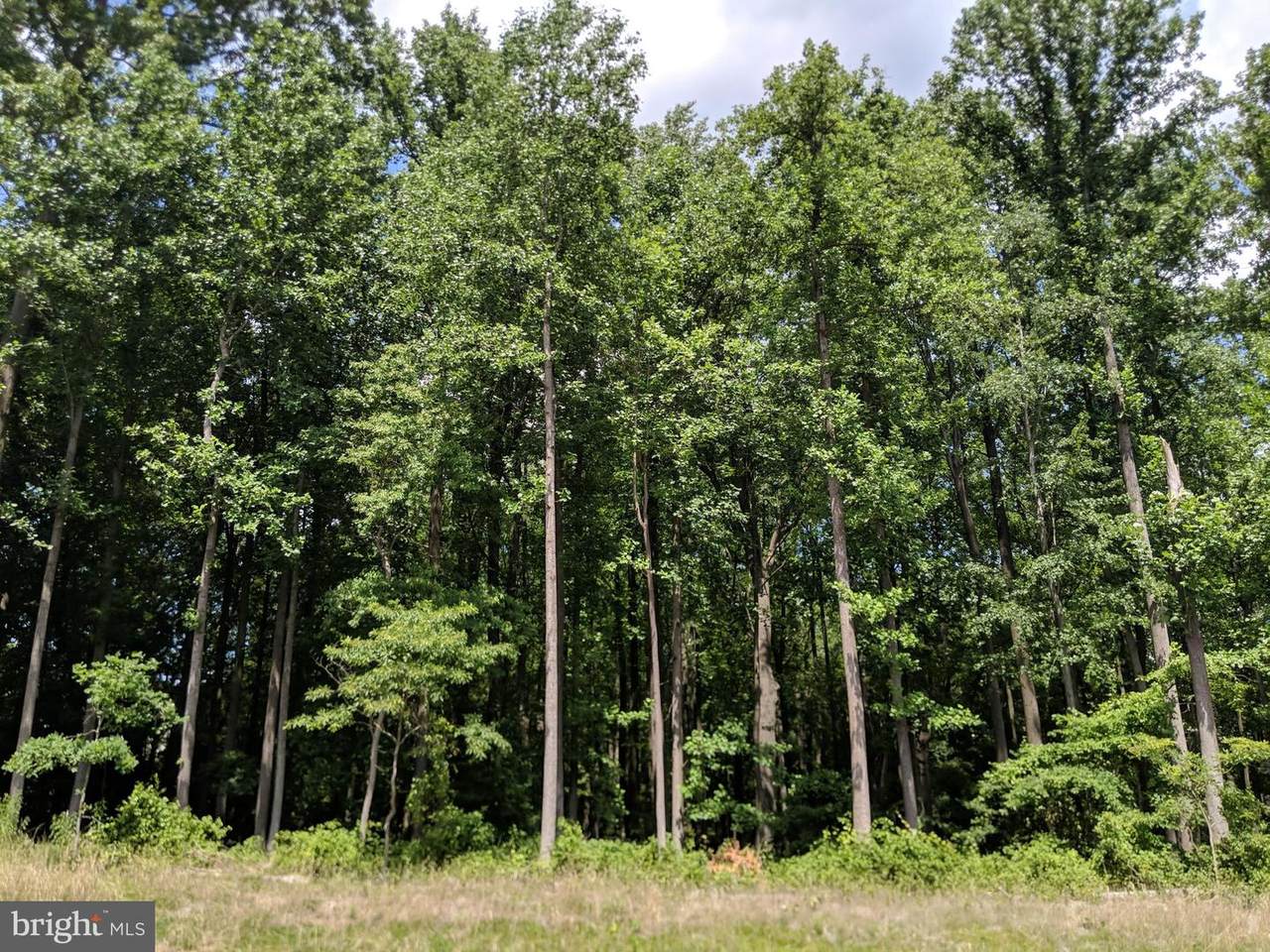 11318 Leesburg Pike - Photo 1