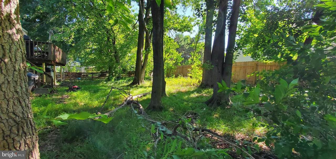 8 Debenham Court - Photo 1