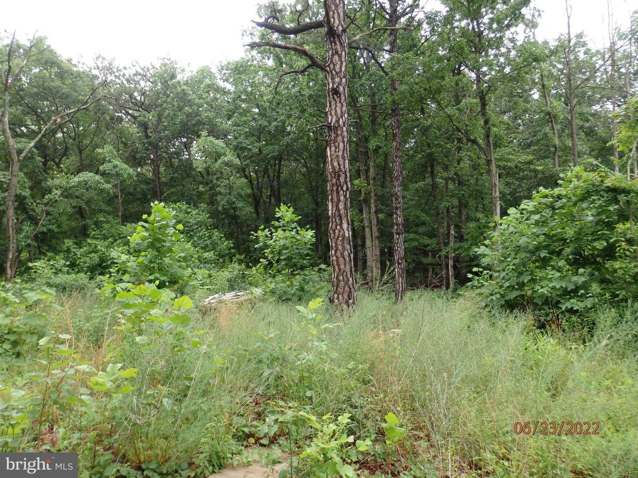 523 Cardinal - Photo 1