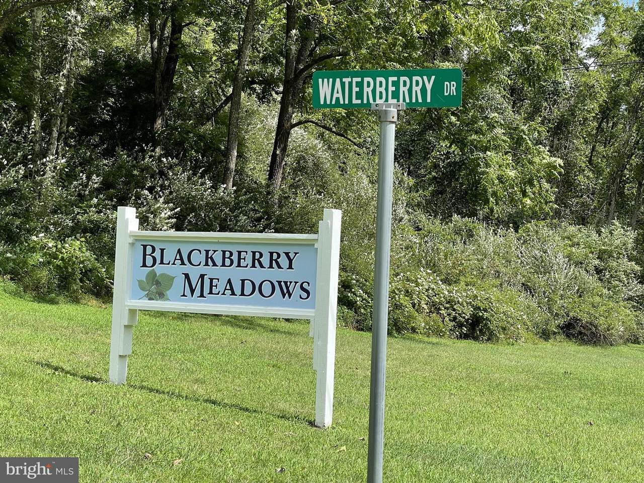 Lot 8 Waterberry Drive - Photo 1
