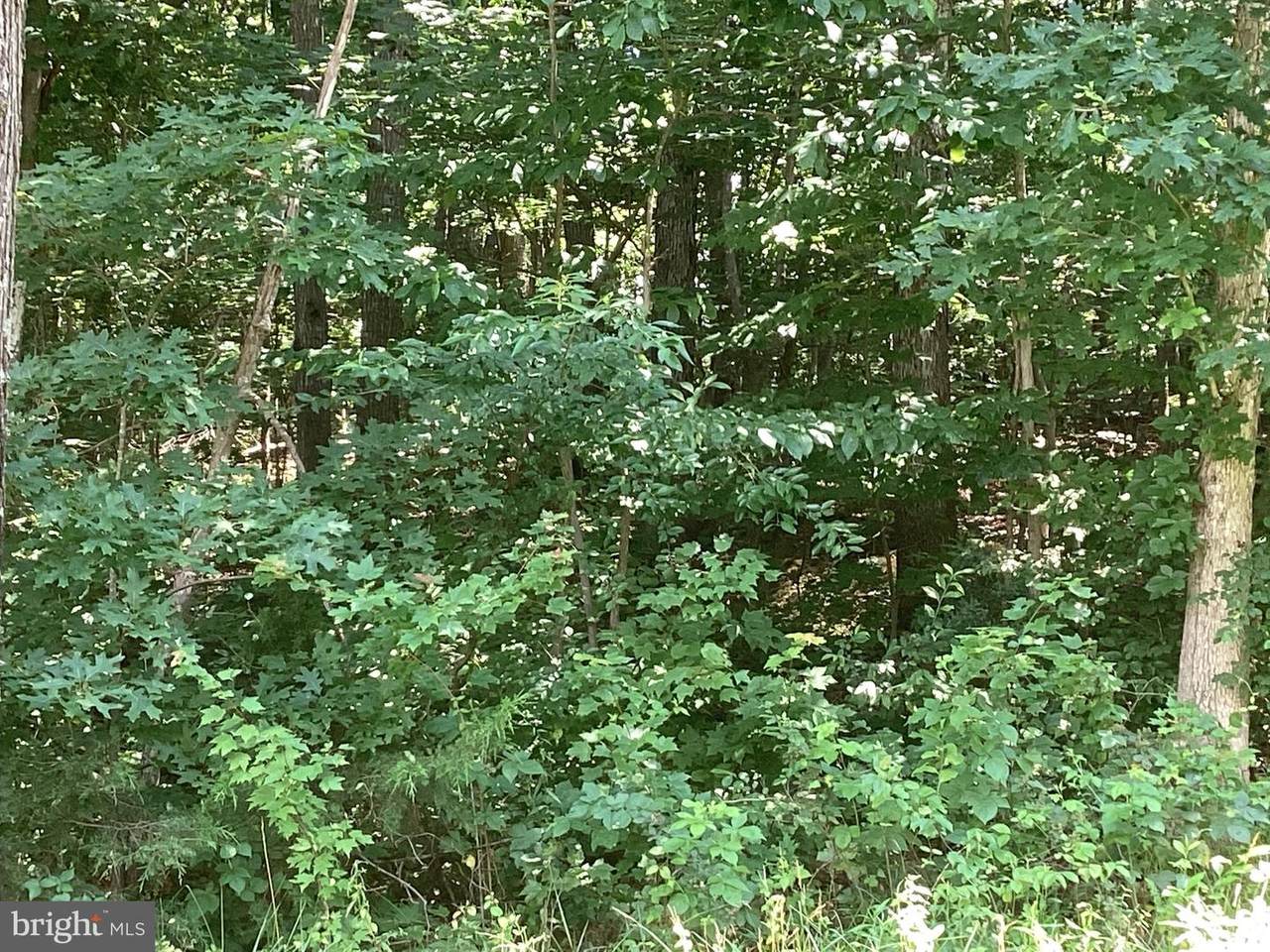 Riverbend Dr - Photo 1