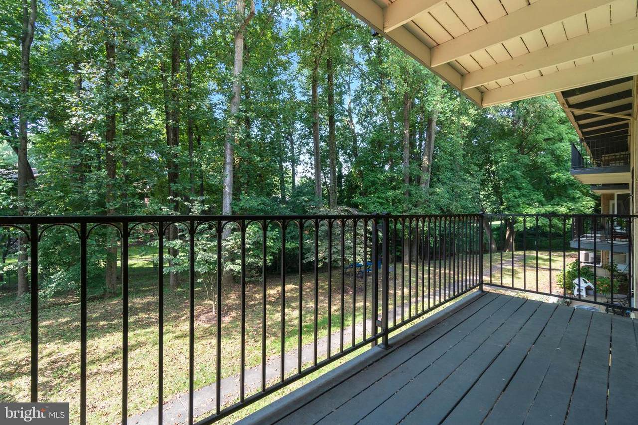 4917 Americana Drive - Photo 1