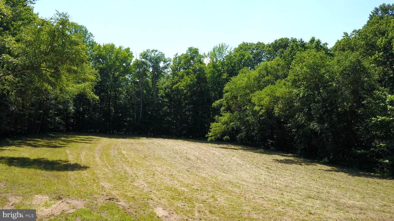 8304 Hook Lane - Photo 1