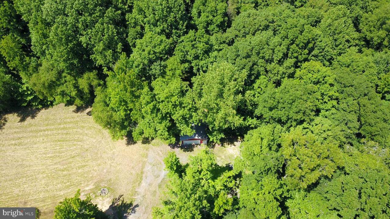 8308 Hook Lane - Photo 1