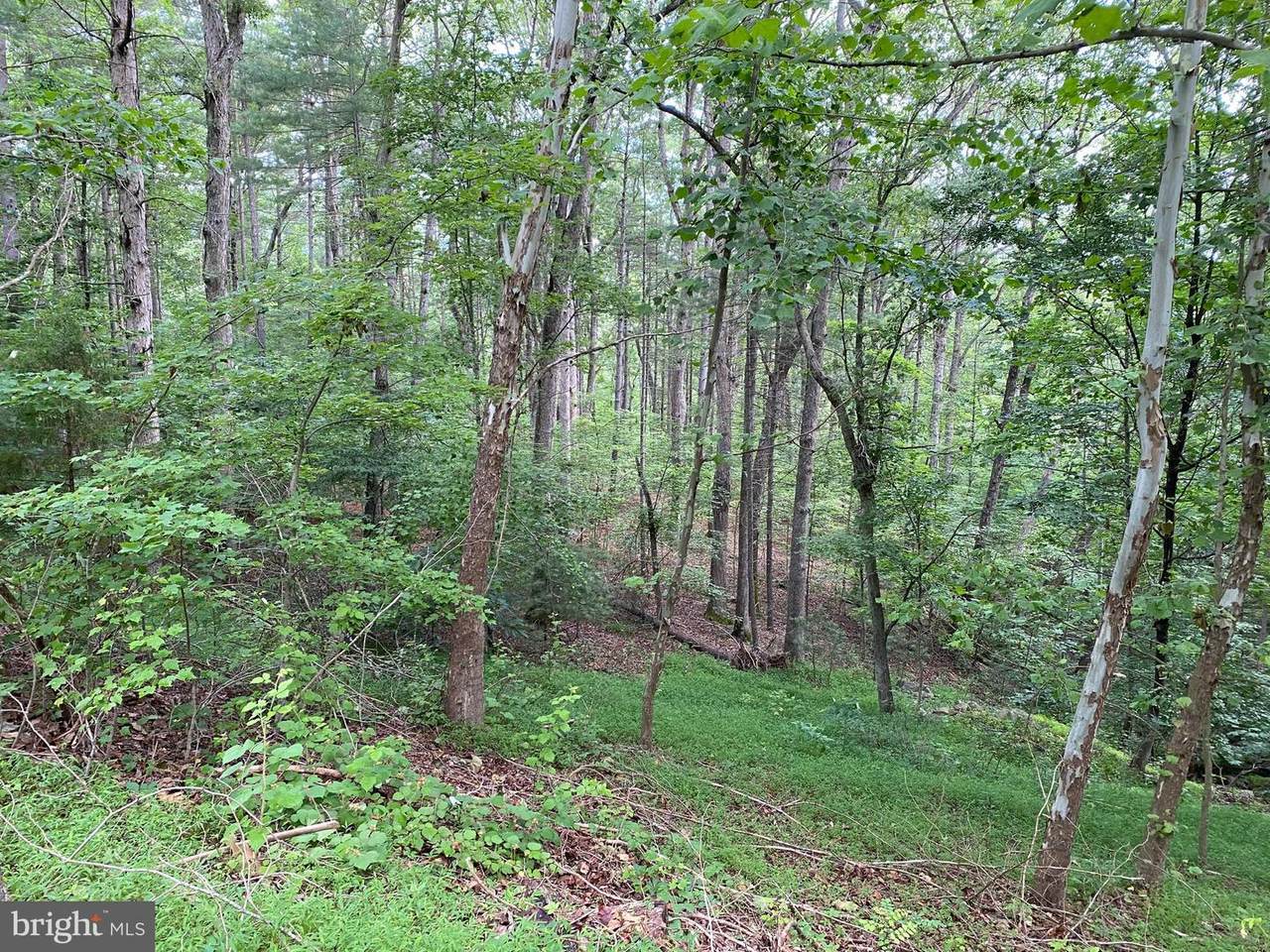 0 River Oak Drive - Photo 1